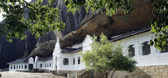 Sigiriya and Dambulla private tour from Galle region